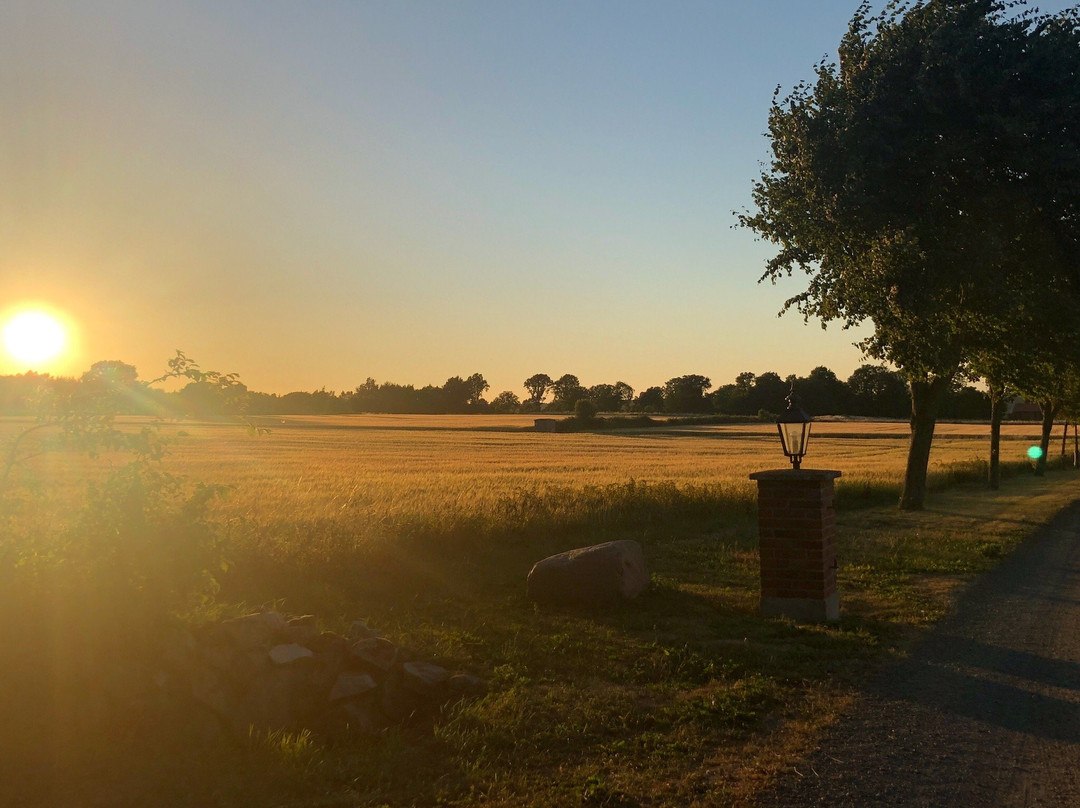 幸福奶奶的住宿加早餐旅馆主图