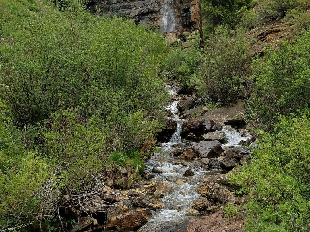 Molas Lake Campground