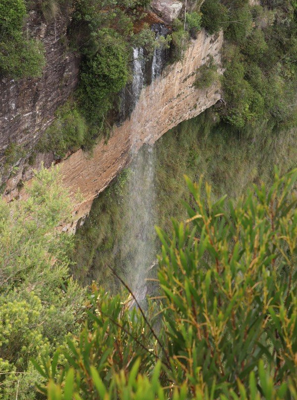 Cliff Top Walking Track景点图片