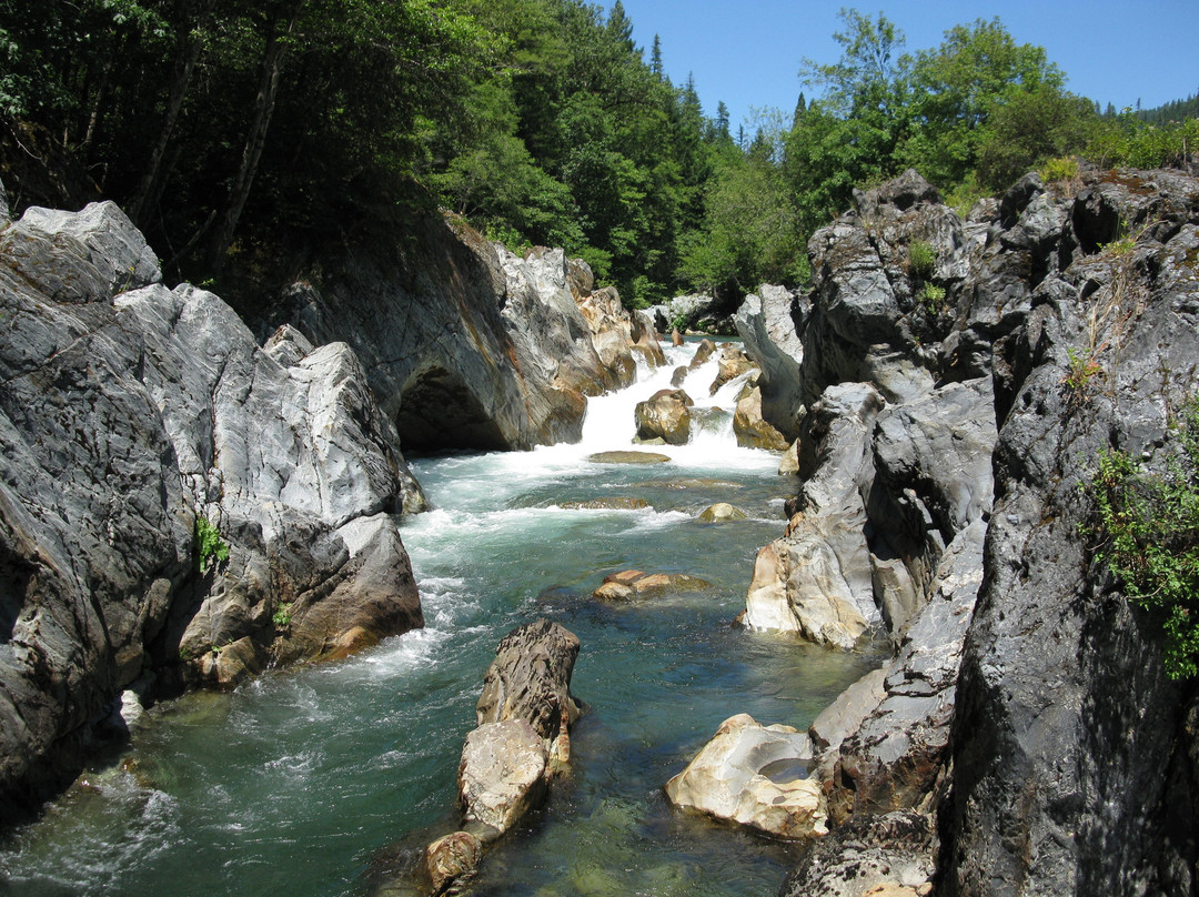 Forest Lodge Motel主图