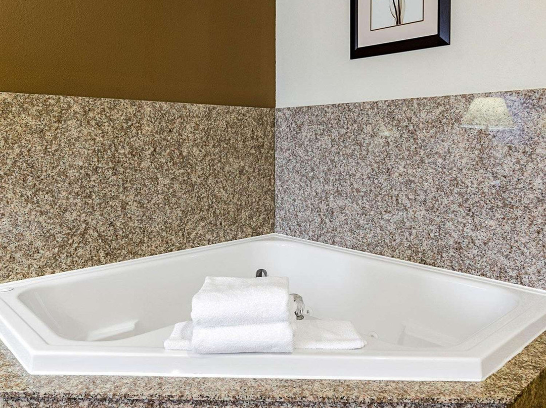 Comfort Inn & Suites Lawrence - University Area主图