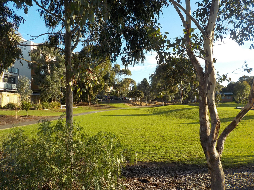 Allison Reserve Playground景点图片