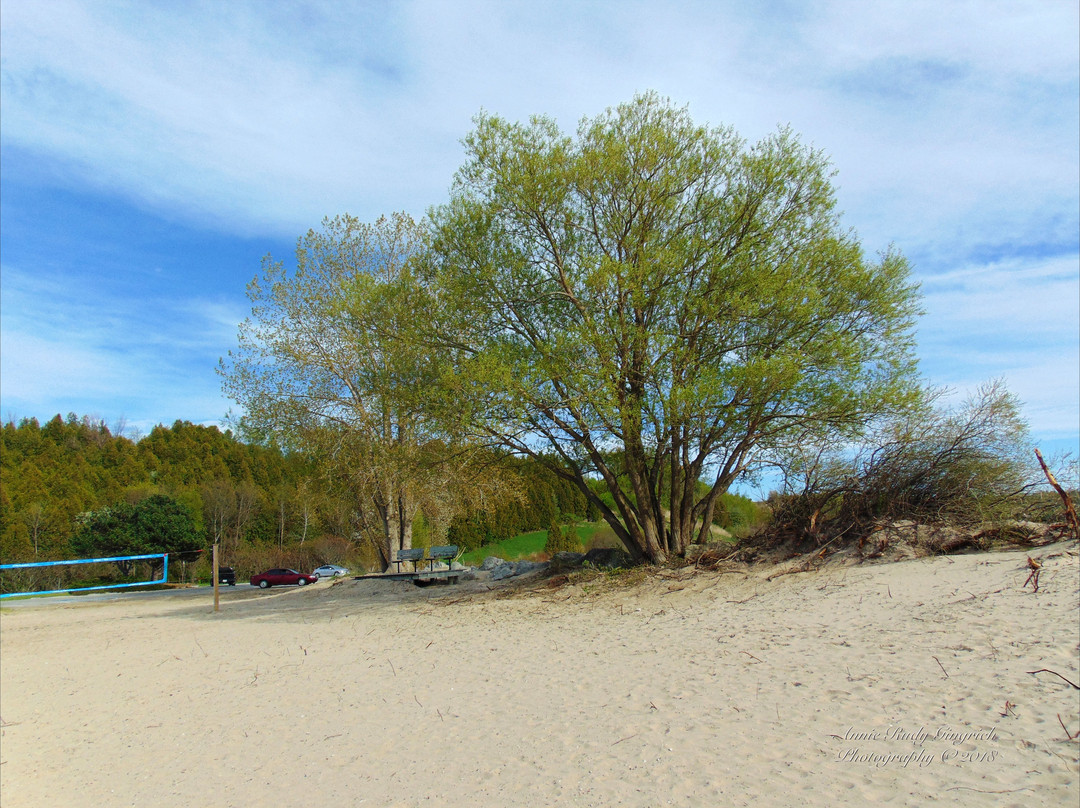 Cove Beach景点图片