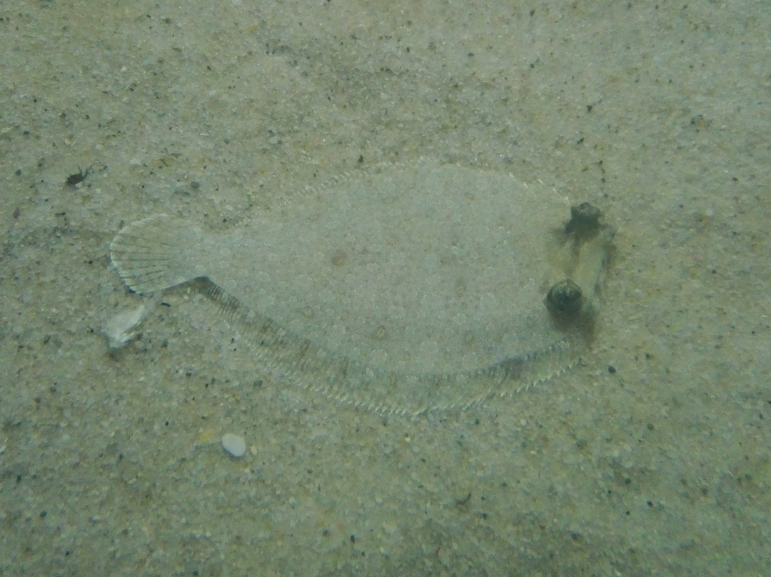 Oceanographic Museum-迦太基必去景点