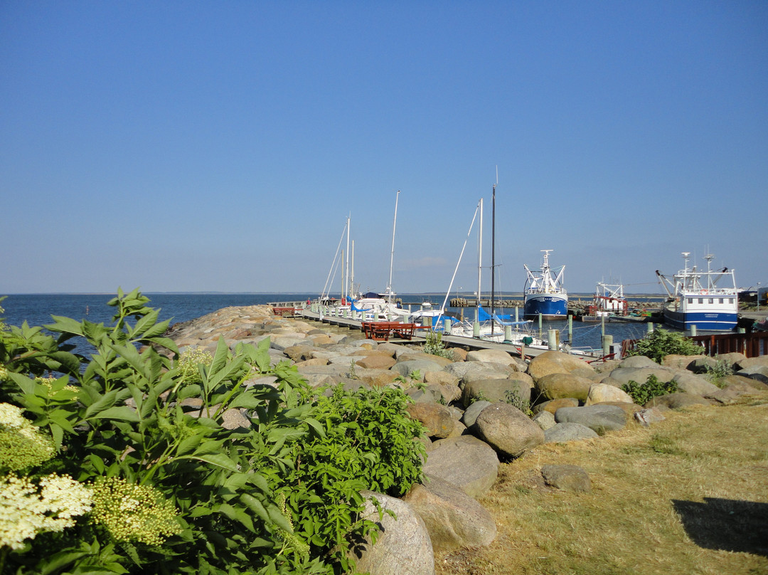 Oddesund Lystbaadehavn景点图片