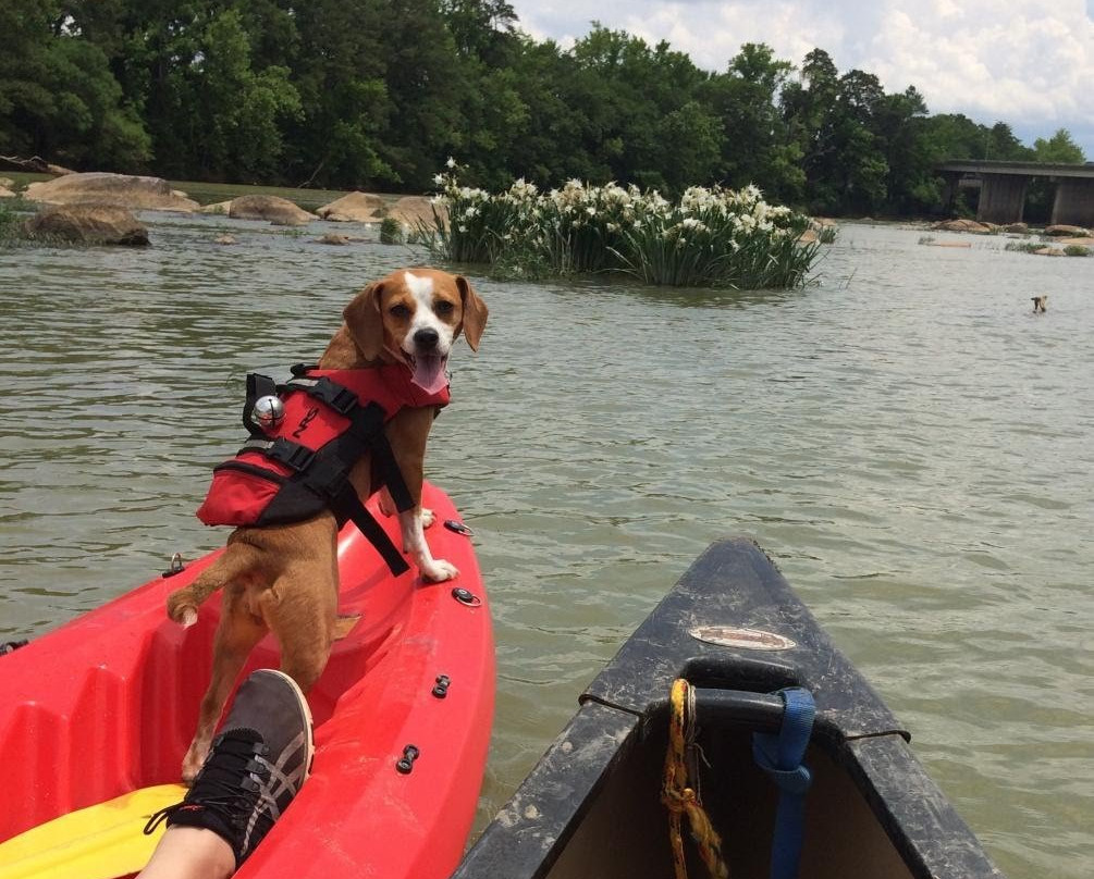 Palmetto Outdoor-West Columbia必去景点