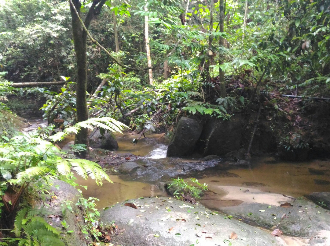 Sungai Tekala Recreation Forest景点图片