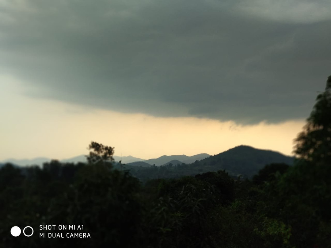 Deers Eco Home主图