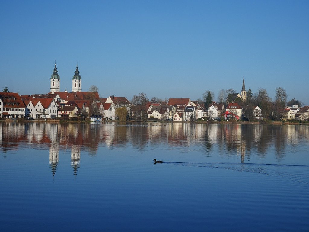 Stadtsee景点图片