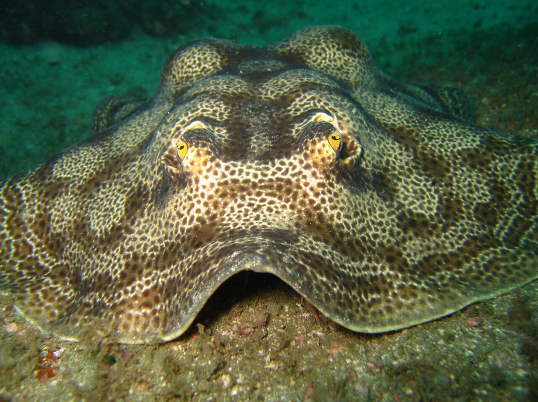 Sierpe River Camp主图