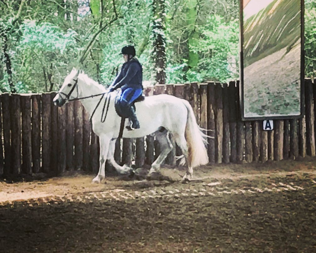 Friar's Hill Riding Stables-Sinnington必去景点