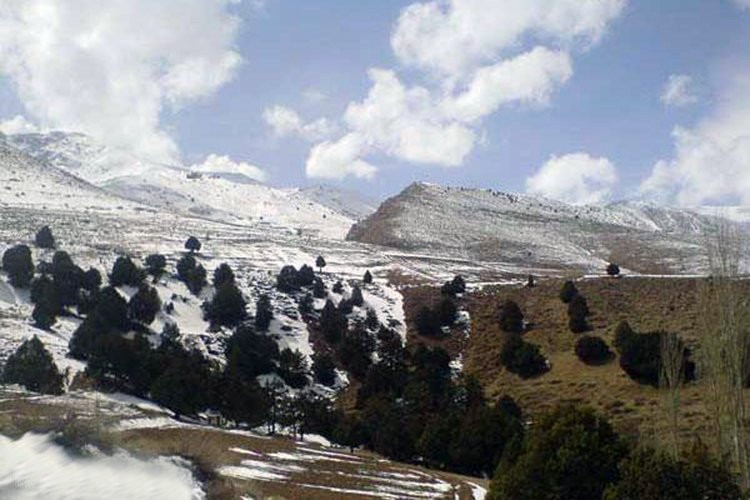 Salook National Park景点图片