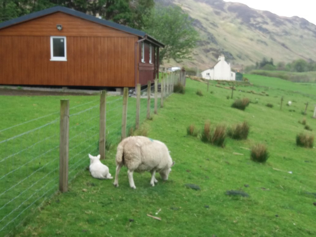 Glenelg Holiday Cottage主图