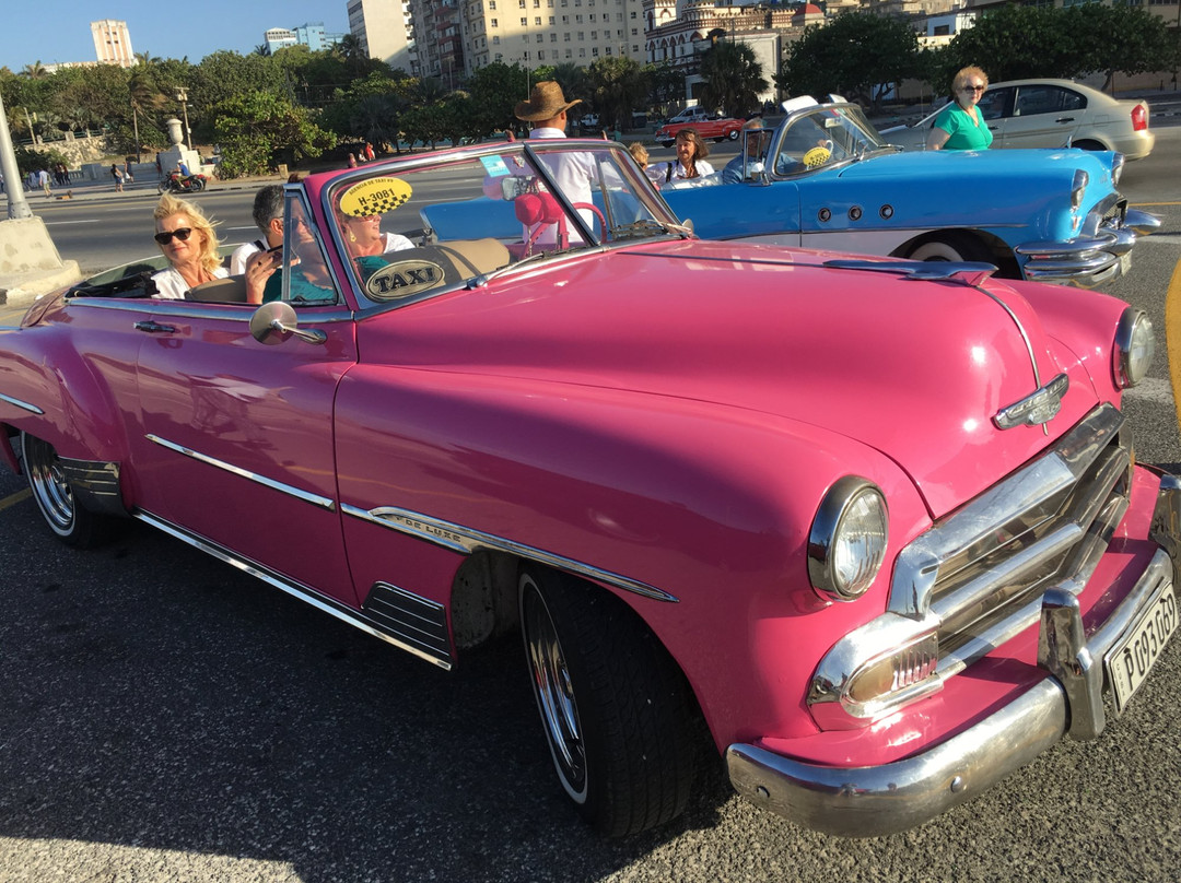 Flo Tours-玛丽湖必去景点