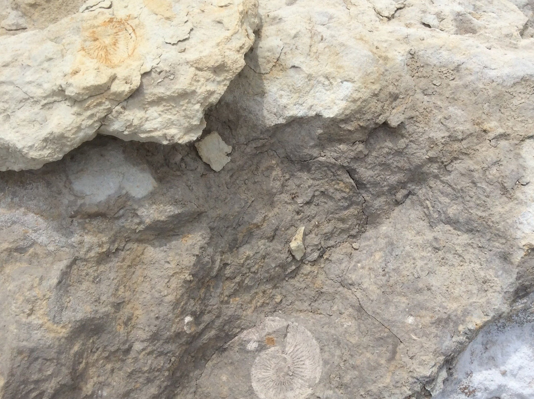 Mountain Ulagan-Elton必去景点