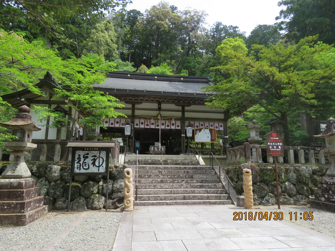 Niukawakami Shrine景点图片