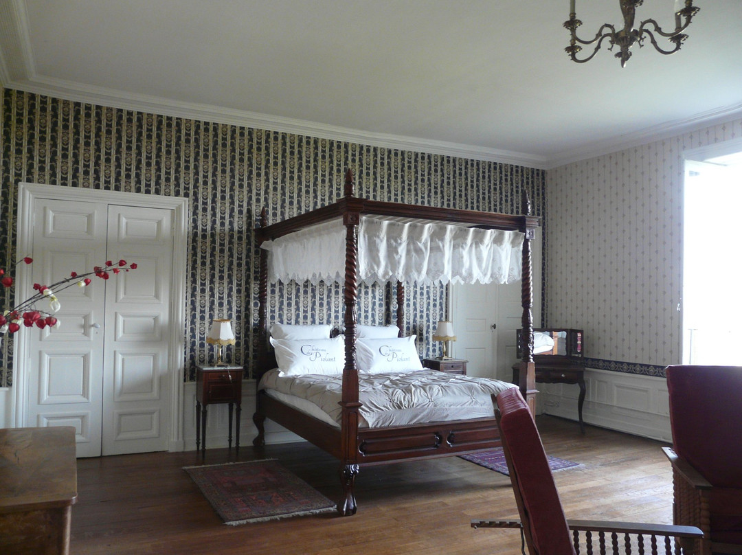 Chateau de Piolant主图