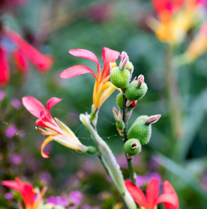 Westlodge Bed & Breakfast主图