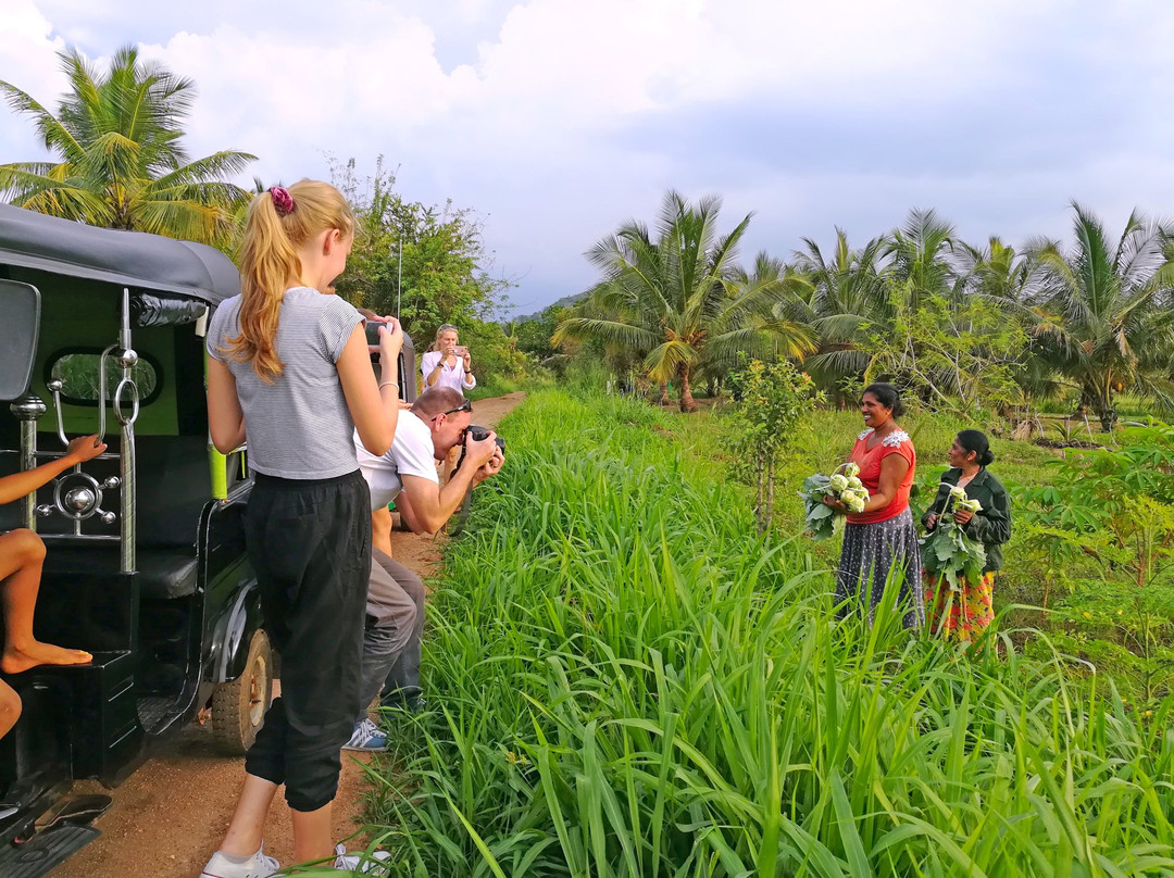 Village Tour Sri Lanka-丹布拉必去景点