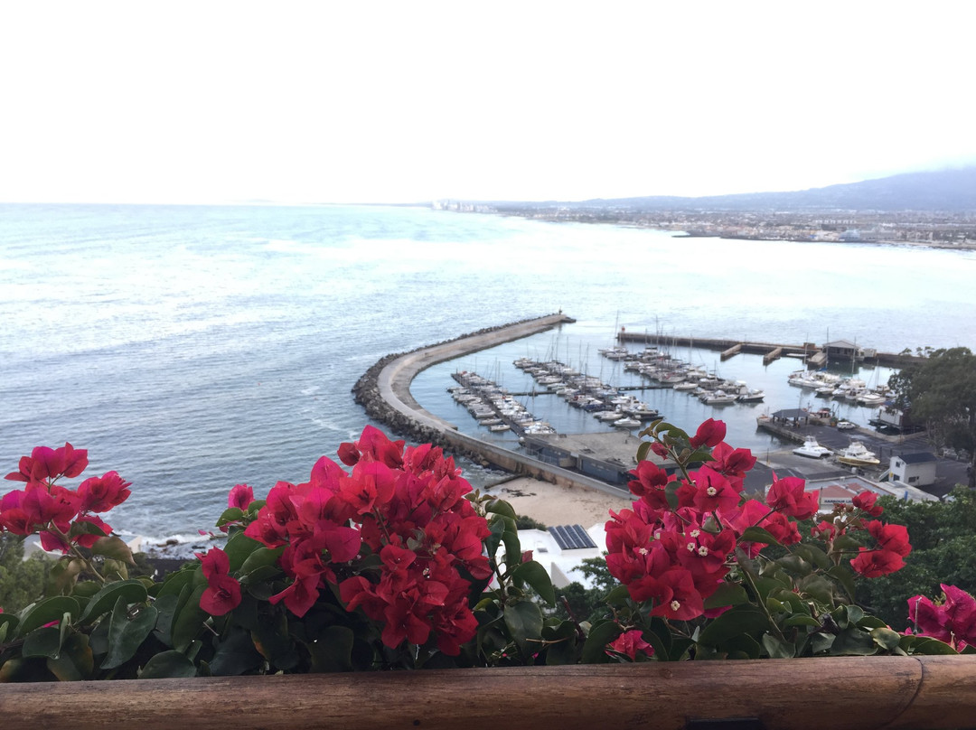 Celtic Manor Boutique Guest House主图