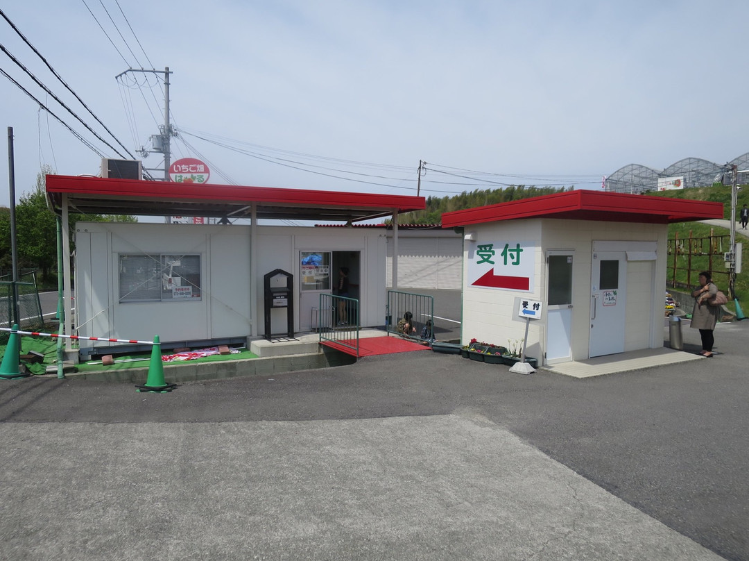 Strawberry Farm Haru-岸和田市必去景点