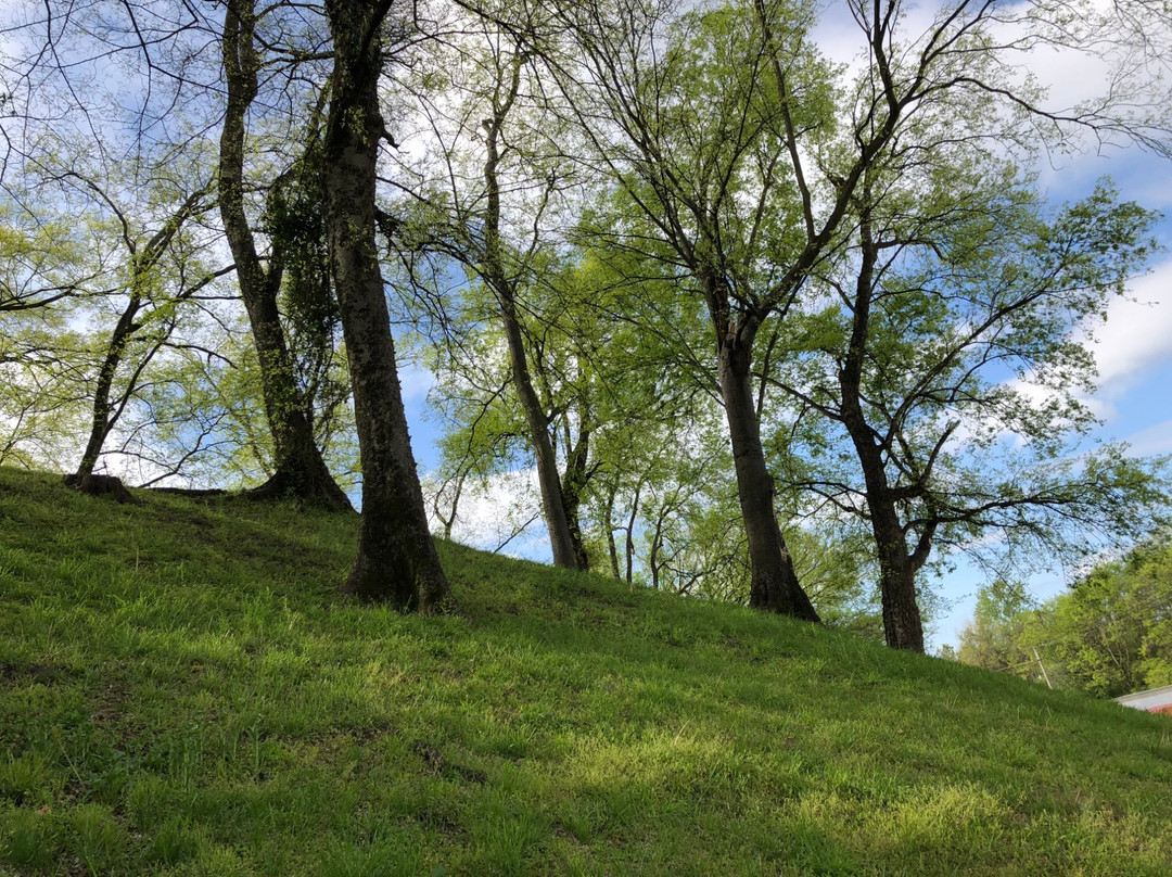 Indian Mound & Museum景点图片