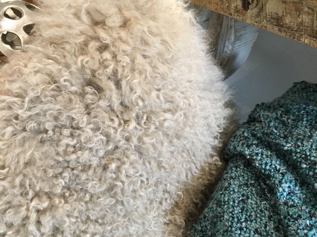 Pier 22 Home and Gifts-威尼斯必去景点