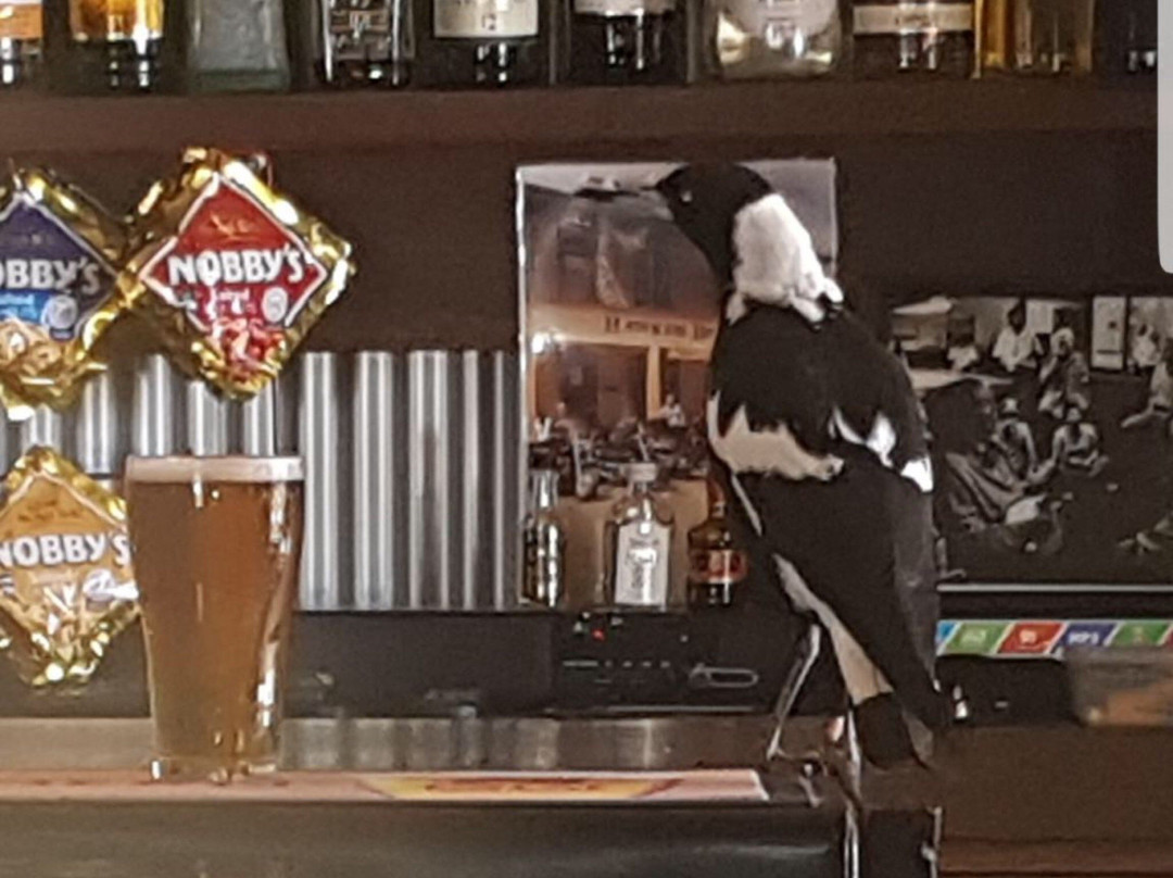 Hawker Hotel Motel主图