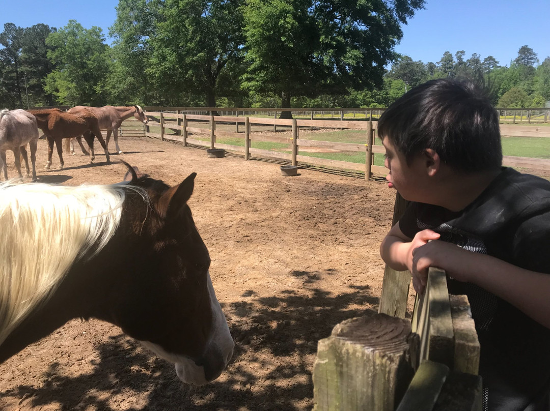 Sunflower Farm and Ranch-Folsom必去景点