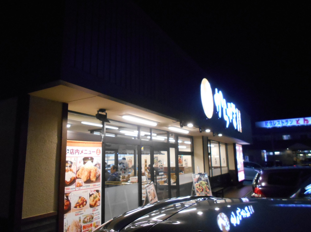 からやま木更津店