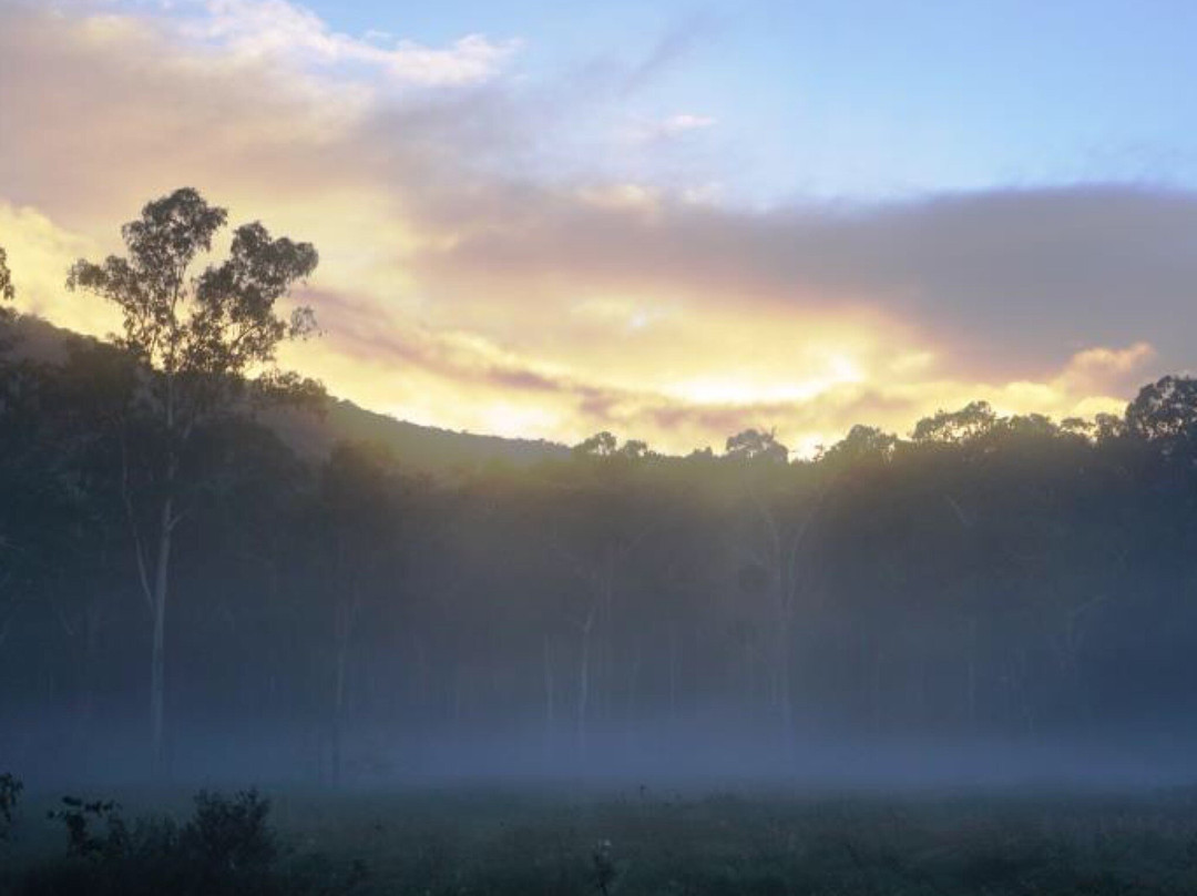 Guy Fawkes River National Park景点图片