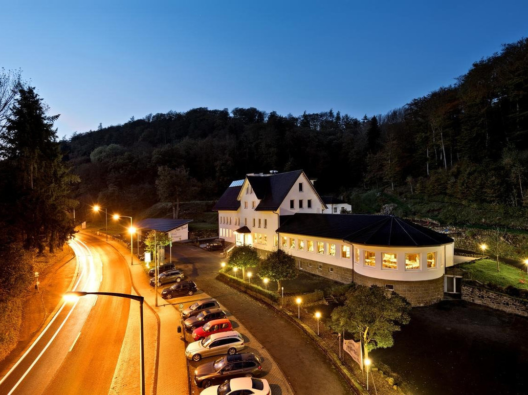 Hotel Am Bergpark -Neue Drusel-主图