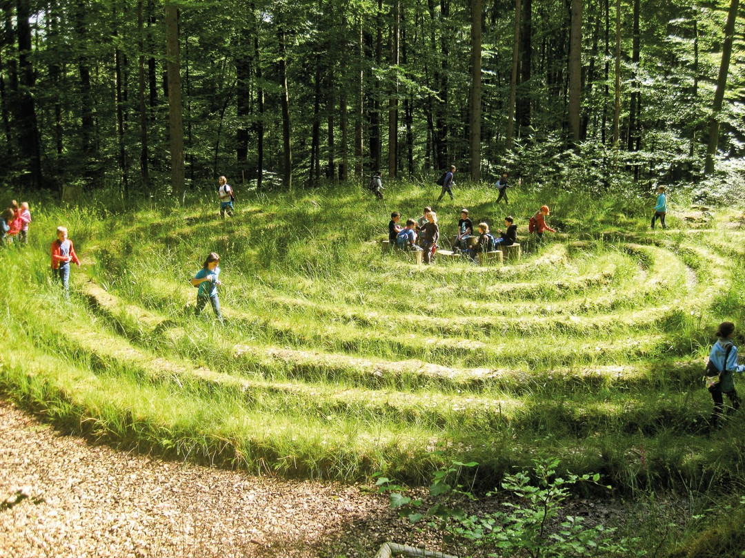 Walderlebnis- und Waldsportpfad Rollberg