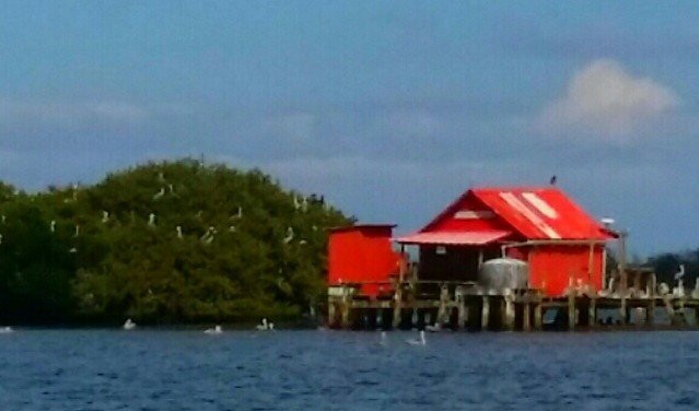 Reelentless Pursuit Charters-萨尼贝尔岛必去景点