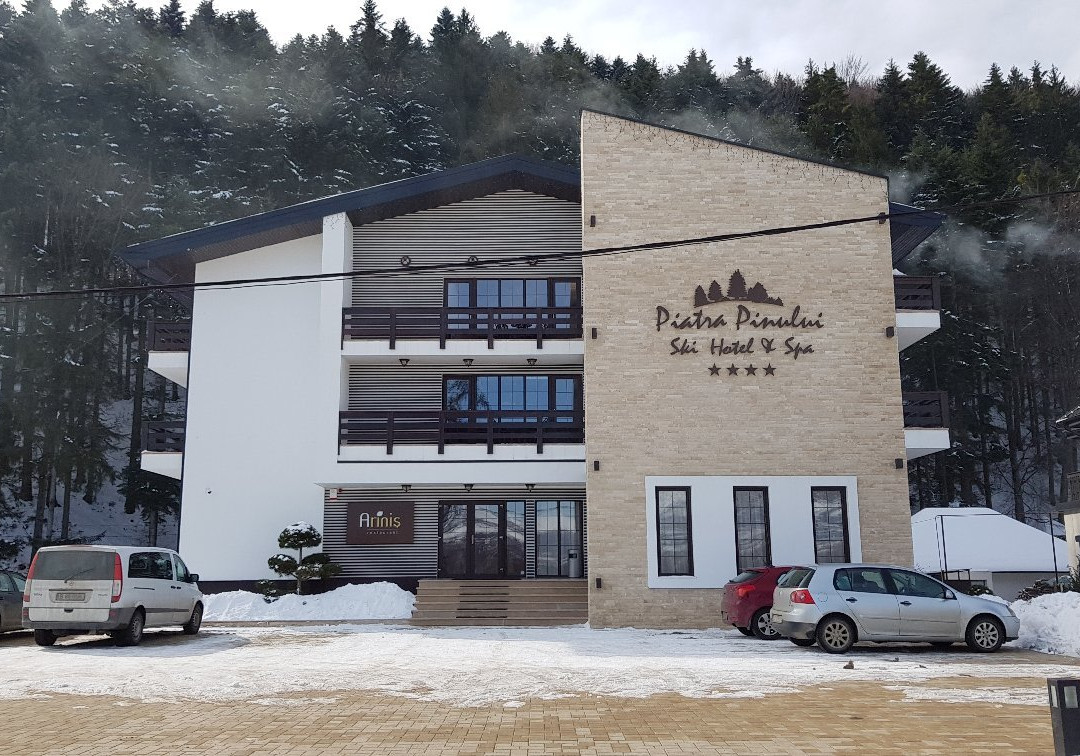 Piatra Pinului Ski Hotel & Spa主图
