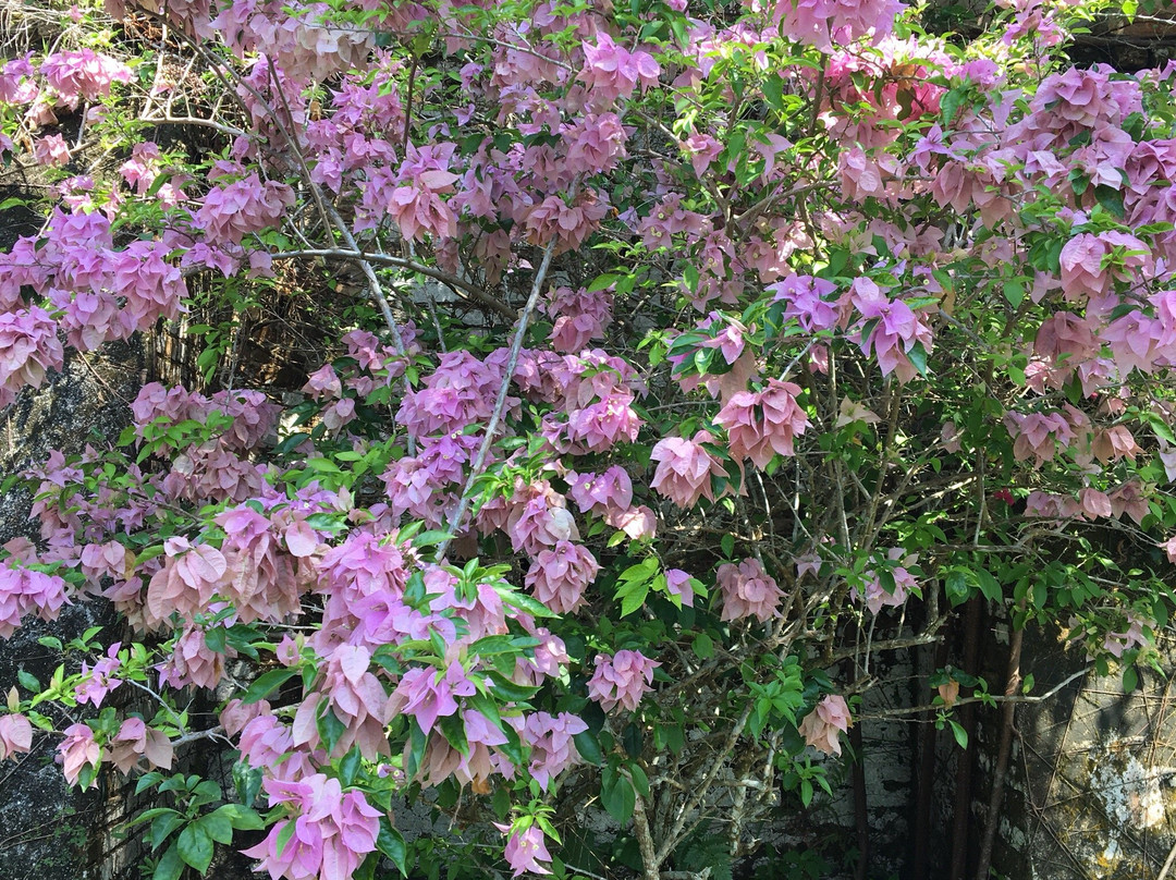 Castle of King Billah-Pusing必去景点