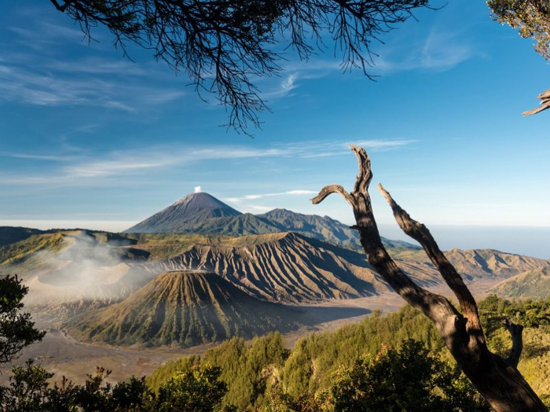 Bromo Ijen Tour Driver-泗水必去景点