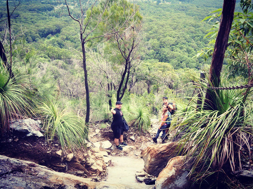 Mount Cooroora景点图片