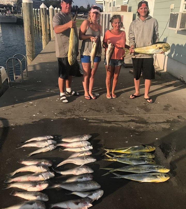 3 Amigos Sportfishing Charters-里霍博斯比奇必去景点