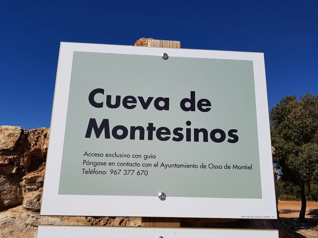 Cueva de Montesinos景点图片