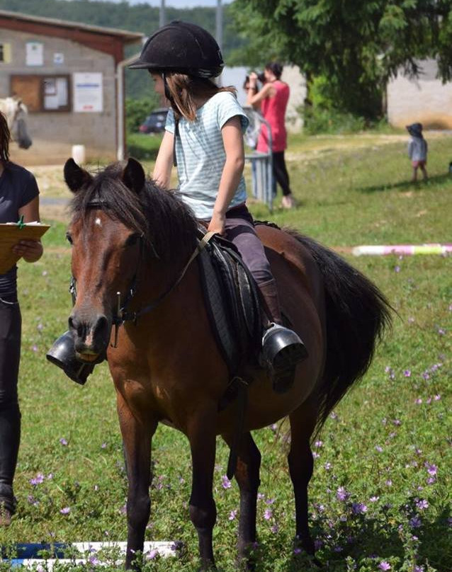 Ferme Equestre de la Gresigne景点图片