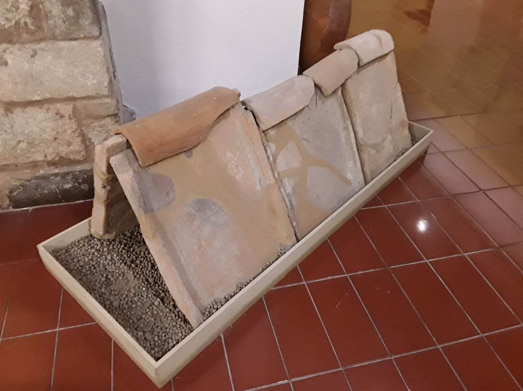 Museo de Historia de Sabadell-萨瓦德尔必去景点