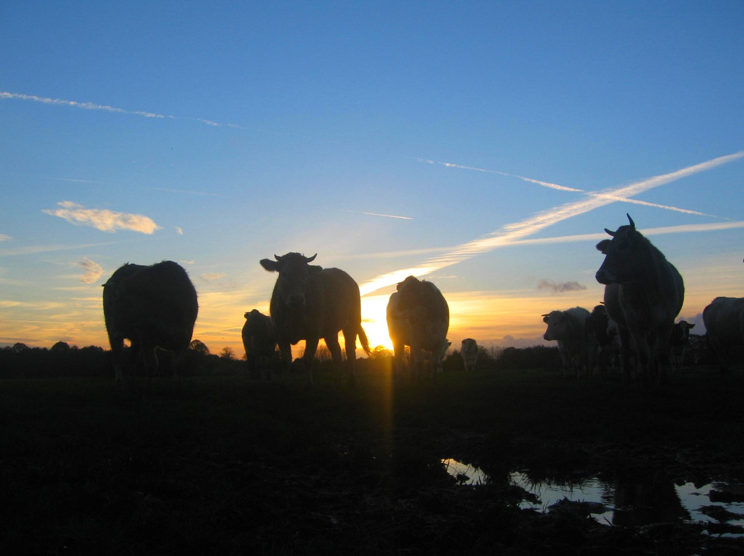 Landhotel De Greune Weide主图