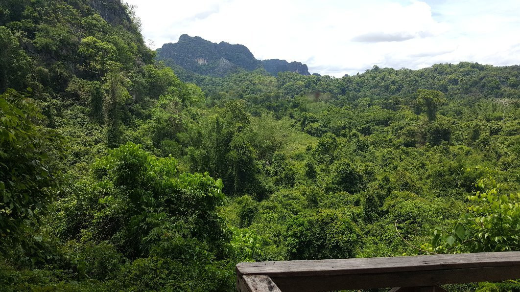 Phupha Lom Forest Park景点图片