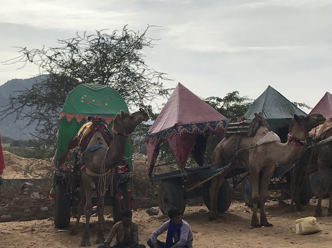 Pushkar Desert Safari景点图片