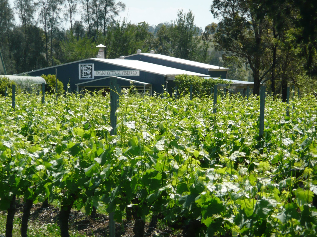 Emma's Cottage Vineyard Cellar Door Gallery-Lovedale必去景点