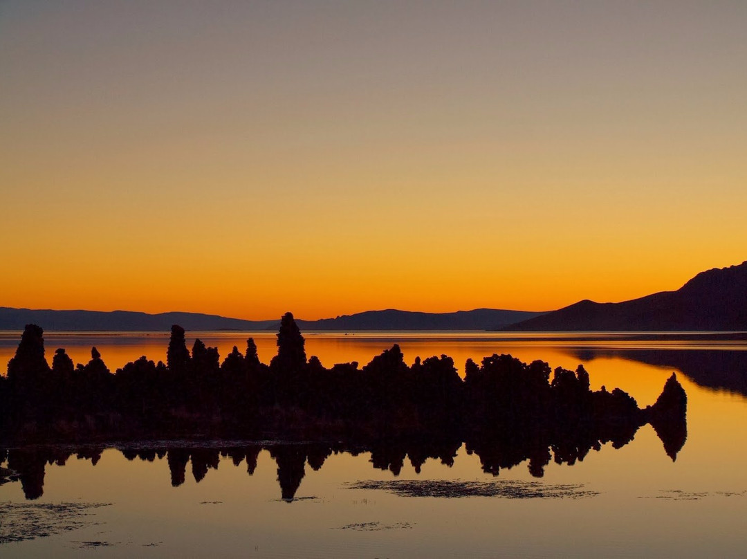 Gobi Attraction