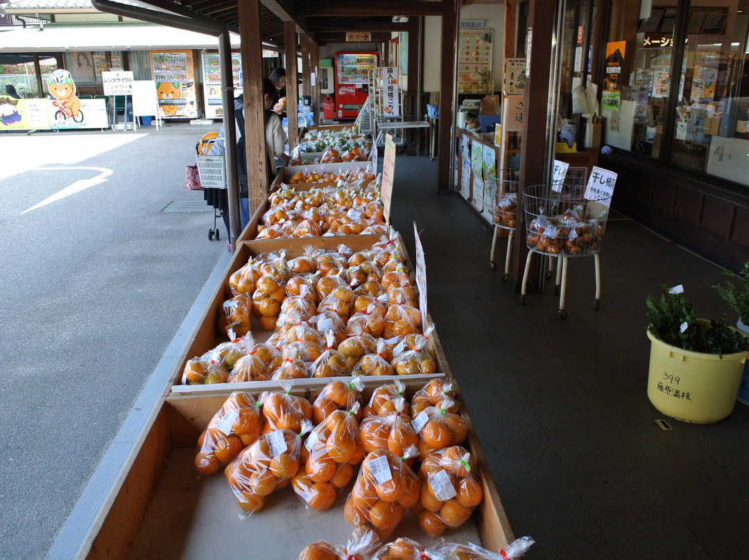 Shimanaminoeki Mishima Roadside Station-今治市必去景点