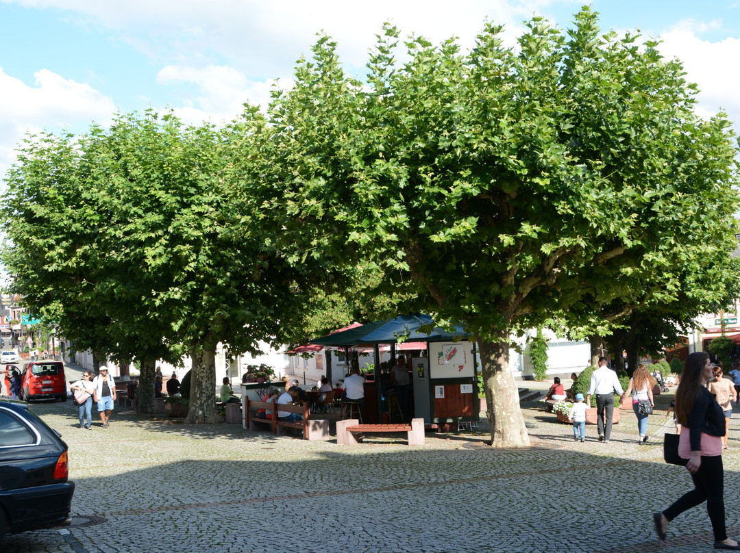 Weinstand Marktplatz Rüdesheim am Rhein景点图片