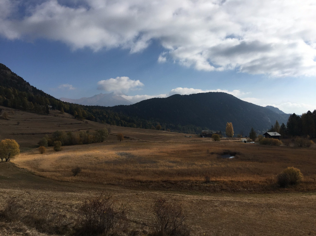 Riserva Naturale Lozon景点图片